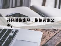 乐动体育开户地址-孙杨受伤离场，伤情尚未公布。
