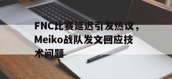 乐动体育APP下载-FNC比赛延迟引发热议，Meiko战队发文回应技术问题